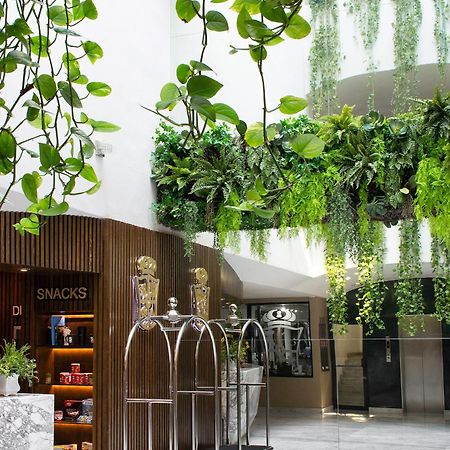 Hotel Posada San Antonio Reynosa Zewnętrze zdjęcie